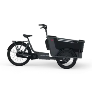 Vélo électrique cargo triporteur Winora F.U.B. 3W 2023