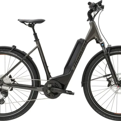 Vélo électrique DIAMANT 138 Wave 800Wh